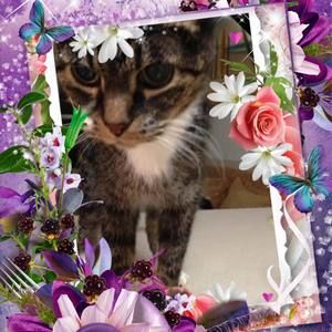 Meet your Posher, Mary